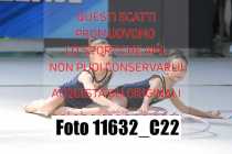 11632_C22