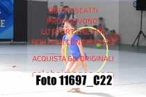 11697_C22