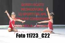 11723_C22