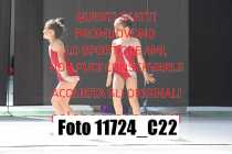 11724_C22