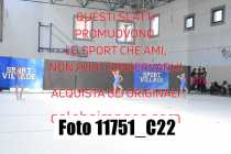 11751_C22