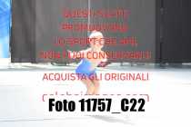 11757_C22