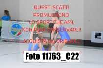 11763_C22