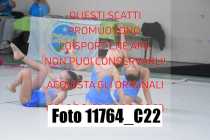 11764_C22