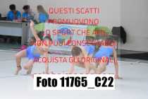 11765_C22