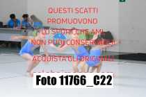 11766_C22