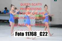 11768_C22