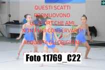 11769_C22