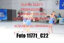 11771_C22