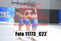 11773_C22