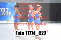 11774_C22