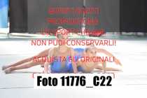 11776_C22