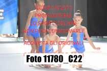 11780_C22
