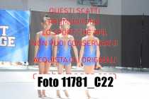 11781_C22