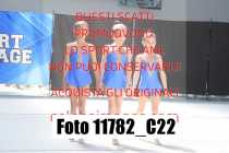 11782_C22