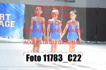 11783_C22