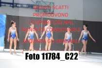 11784_C22