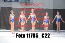 11785_C22