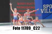 11789_C22