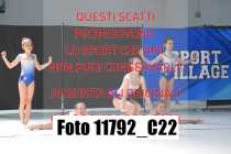 11792_C22