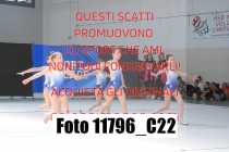 11796_C22