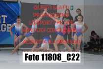 11808_C22