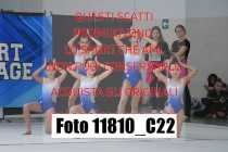 11810_C22