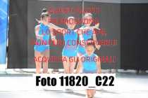 11820_C22