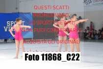 11868_C22