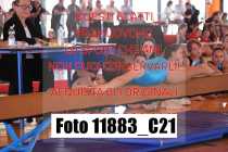 11883_C21
