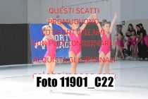 11901_C22