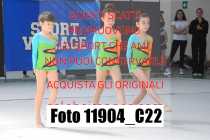 11904_C22