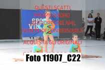 11907_C22