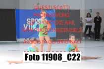11908_C22