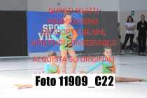 11909_C22