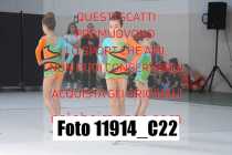 11914_C22