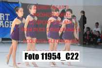 11954_C22