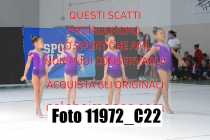 11972_C22
