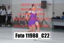 11988_C22