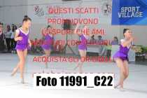 11991_C22