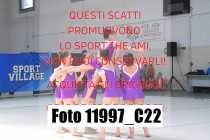 11997_C22