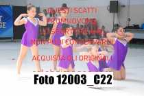 12003_C22