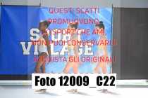 12009_C22