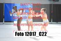 12017_C22
