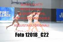 12018_C22