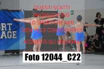 12044_C22