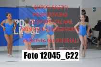 12045_C22