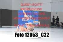 12053_C22