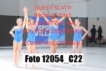 12054_C22