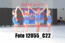 12055_C22